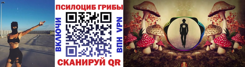 Псилоцибиновые грибы Cubensis  где можно купить   это как зайти  Таруса 